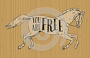 You Are Free