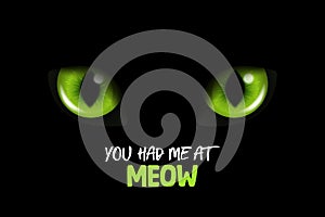 You Had Me At Meow. Vector 3d Realistic Green Glowing Cats Eyes of a Black Cat. Cat Look in the Dark Black Background