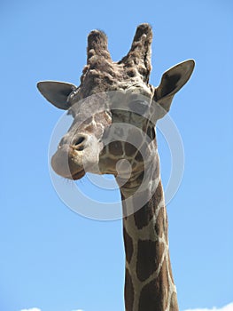 Are you lookin ' at me?