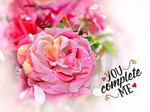 You and me love happy greetings card valentine day wedding womens day pink roses spring summer flowers background copy space