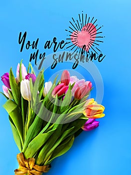 Tulip flowers on blue  background Happy wishes for congratulations text  colorful festive bouquet Floral Women`s Day Happy Valenti