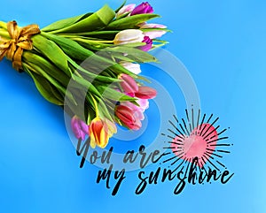 Tulip flowers on blue  background greetings  for congratulations text  colorful festive bouquet Floral Women`s Day Happy Valenti