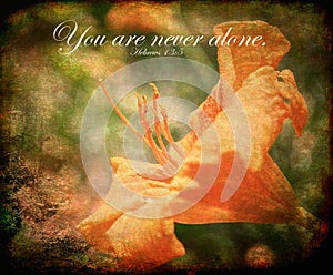 You are never alone - photograph with bible verse, Hebrews 13:5