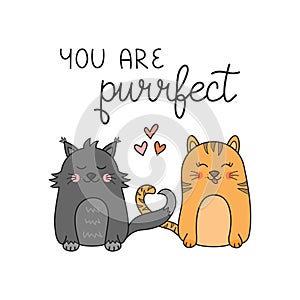 You are purrfect pun cat vector illustration