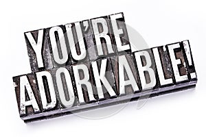 You`re Adorkable in letterpress type