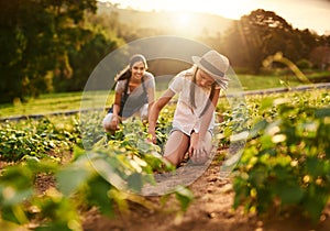 You reap what you sow. Shot of a young girl working on the family farm with her mother in the background.