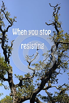 When you stop resisting