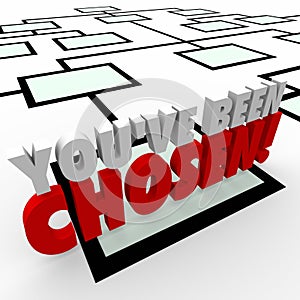 You've Been Chosen 3d Words Company Organization Chart Promotion photo