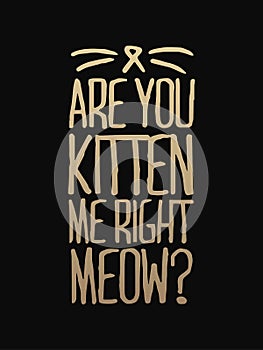 You've cat to be kitten me right meow - hand drawn dancing lettering quote isolated on the white background. Fun brush ink