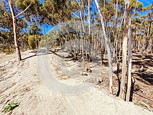 You Yangs Mountain Bike Park in Australia