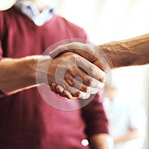 Youll add more oomph to this team. two unrecognizable businessmen shaking hands.