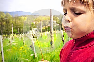 Youn boy blowing dandelion in the middle of nature