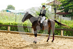 Young 20s Asian woman in horse riding suit with beautiful animal outdoors. Female ride tall smart