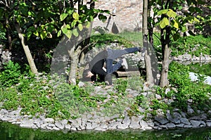 A young acrobatic dancer