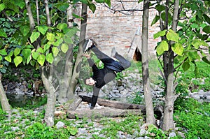 A young acrobatic dancer