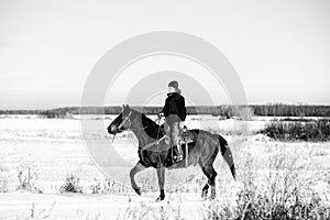 Young adult female horseback riding