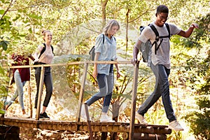 Young adult friends crossing a footbridge during a hike in a forest, full length