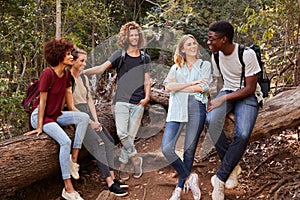 Young adult friends hiking in a forest resting on a fallen tree and talking, full length