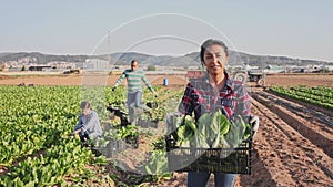 Young adult latina female seasonal worker carrying box with harvested swiss chard on field