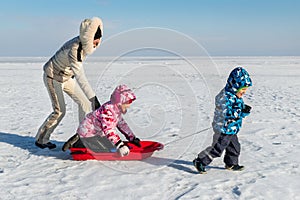 Young adult mother wear warm jacket enjoy have fun sledging two cute little sibling kids boy girl at frozen white snow