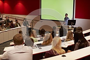 Young adult students at a university lecture, back view