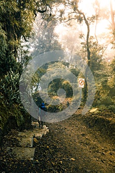 Young adult woman hiker wearing sportswear walks down a small sidewalk in the middle of a rocky trail in the cloud forest of Costa photo