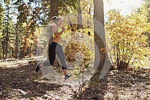 Young adult woman running in a forest jumps fallen branches