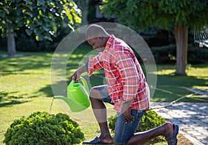 Young Afican gardener kneeling while watering bush in yard