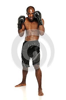 Young African American Boxer