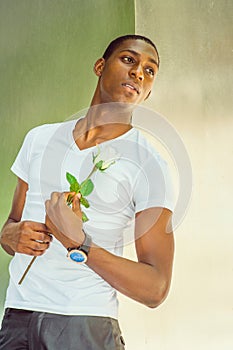 Young African American Man Missing You with white rose in New Yo