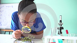 Young African American mixed kid using a magnifying glass on a green plant in chemistry and biology classroom lab