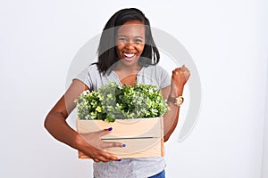 Young african american woman holding wooden pot with plants over isolated background screaming proud and celebrating victory and