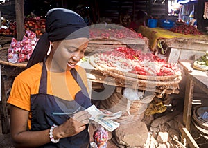 young african woman selling tomatoes in a local african market counting money.