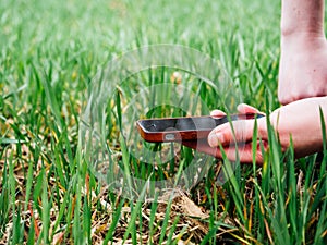 Young agriculture woman biologist inspecting the harvest