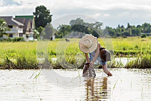 Young agriculturist fishing in swamp