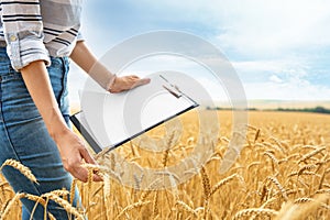 Young agronomist with clipboard in grain field