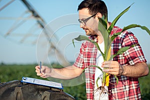 Young agronomist or farmer filling questionnaire in corn field