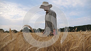 Young agronomist walking among barley meadow and stroking ripe spikelets. Male farmer going through the wheat field and