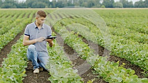 A young agronomist works in the field, inspects soya bushes. Uses a digital tablet