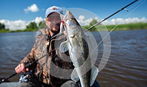 Young amateur angler holds zander fish