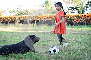 A young Asain girl playing football with her big black dog outside the grass ground in the yard in the evening