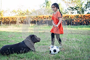 A young Asain girl playing football with her big black dog outside the grass ground in the yard in the evening