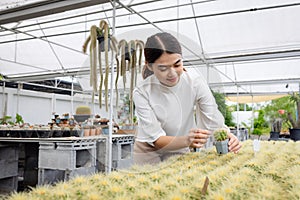 Young Asia women select cactus in the store