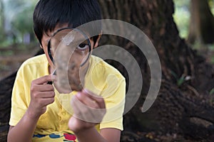 Young asian boy observing a leaf using magnifying glass