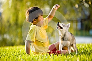 Young Asian boy playing with puppy on grass