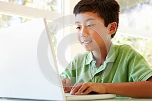 Young Asian boy using laptop
