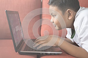 Young asian boy using laptop computer on a sofa at home.