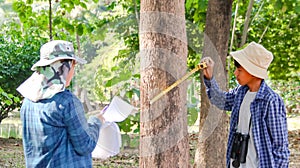 Young Asian boys are using a measure tape to measure a tree in a local park