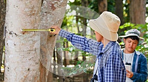 Young Asian boys are using a measure tape to measure a tree in a local park