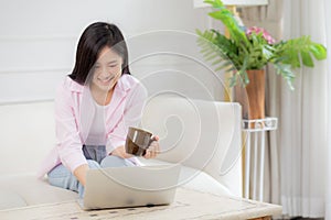 Young asian business woman work from home with laptop computer and drinking coffee on sofa in living room.